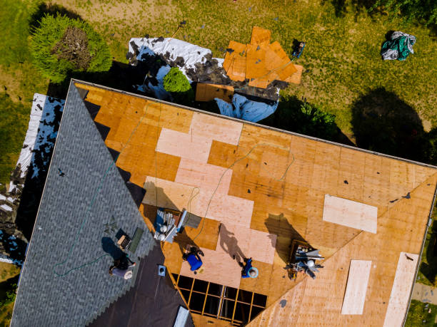 Best Roof Waterproofing Services  in Fishhook, AK