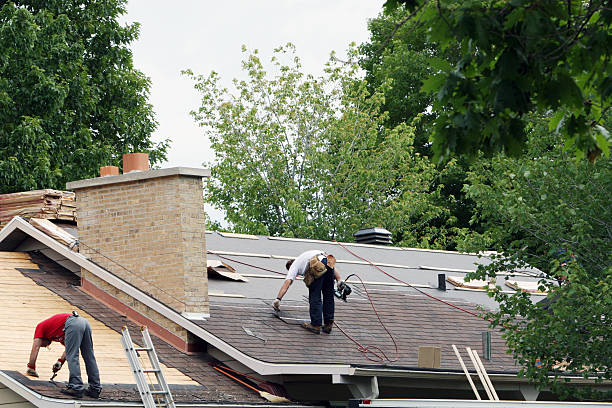 Best Roof Repair Services  in Fishhook, AK