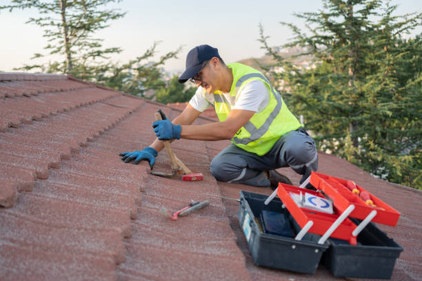 Quick and Trustworthy Emergency Roof Repair Services in Fishhook, AK