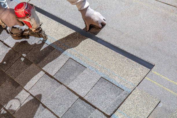Best Metal Roofing Contractor  in Fishhook, AK