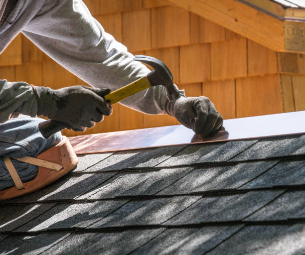Best Roof Maintenance Services  in Fishhook, AK